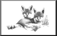 FoxKitsF.gif - 6.75 K