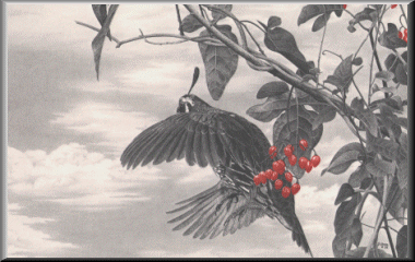 HastyDepartureF.gif - 64.69 K