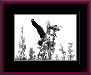 13.7 K-Alaskan and Pacific Northwest Art