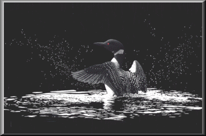 NorthernLightsF.gif - 34991 Bytes