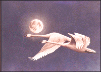  17.6 K-Alaskan and Pacific Northwest Art