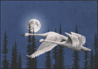 17.1 K-Alaskan and Pacific Northwest Art