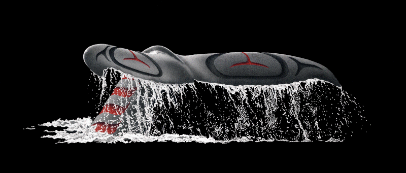 Tail of the Whale Humpback Whale