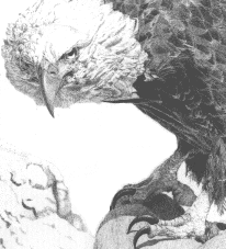 WhereEaglesDareDetail.gif - 25861 Bytes