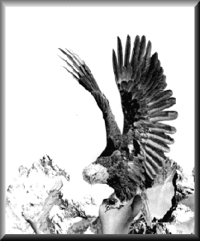 WhereEaglesDareF.gif - 26607 Bytes